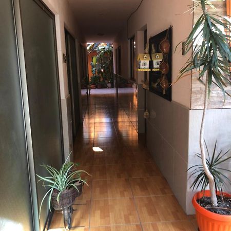 Casa Alejandra Apartamento Antofagasta Exterior foto